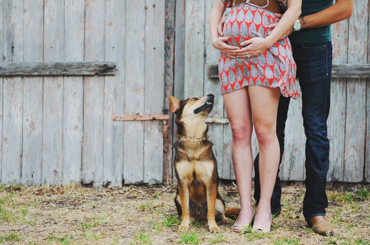 ორსული და მეძუძური დედების უფლებები ორსული და მეძუძური დედების უფლებები