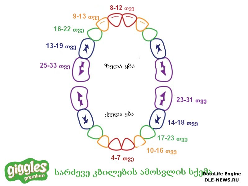 ყველაფერი კბილების ამოჭრის შესახებ ყველაფერი კბილების ამოჭრის შესახებ