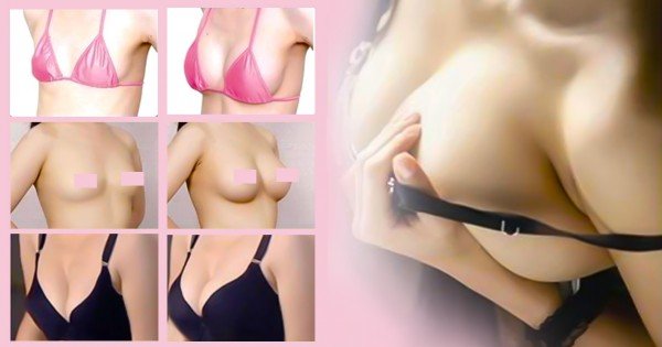 6 მცენარე, რომელიც დაეხმარება ქალებს მკერდის გაზრდაში და ჯანმრთელობის შენარჩუნებაში