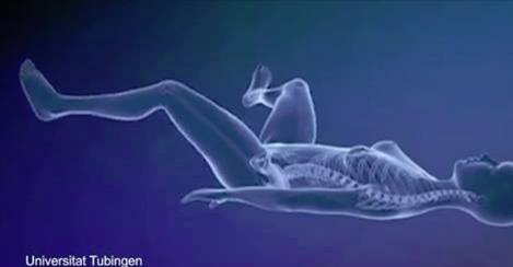 როგორ უცვლიან მამაკაცს სქესს – ვიდეოანიმაცია