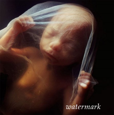 ჩასახვიდან ბავშის დაბადებამდე: 9 თვის განმავლობაში ორგანიზმში მომხდარი ცვლილებები (19 ფოტო) ჩასახვიდან ბავშის დაბადებამდე: 9 თვის განმავლობაში ორგანიზმში მომხდარი ცვლილებები (19 ფოტო)