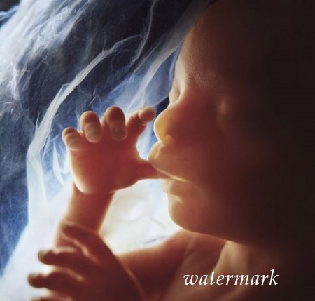 ჩასახვიდან ბავშის დაბადებამდე: 9 თვის განმავლობაში ორგანიზმში მომხდარი ცვლილებები (19 ფოტო) ჩასახვიდან ბავშის დაბადებამდე: 9 თვის განმავლობაში ორგანიზმში მომხდარი ცვლილებები (19 ფოტო)