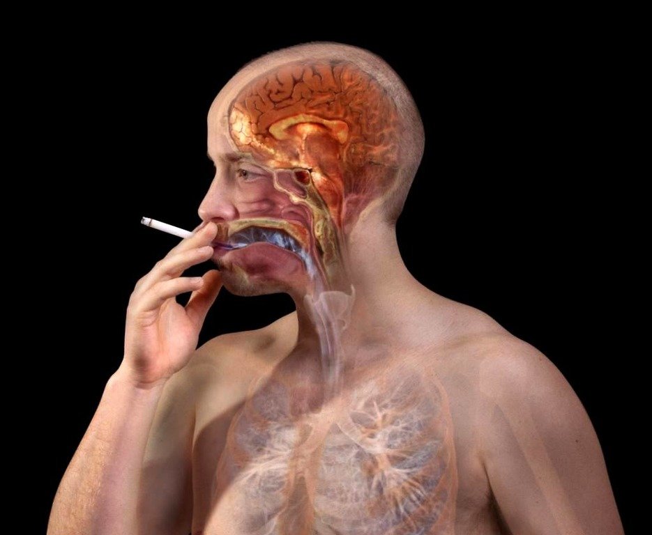 ნიკოტინი საშინელებაა,ნაადრევი სიკვდილის გარდა გაიგეთ როგორ მოქმედებს ტვინზე
